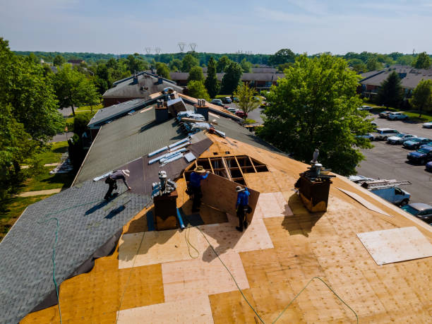 Trusted Roof Replacement service in Searles, MN - Brentwood Metal Roofing